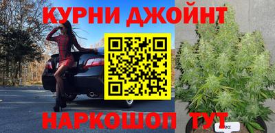 jwh Кингисепп
