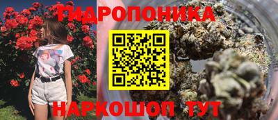 jwh Кингисепп
