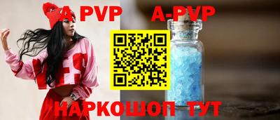 jwh Кингисепп
