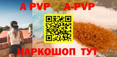 jwh Кингисепп